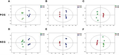 Serum metabolic profiling of rats infected with Clonorchis sinensis using LC-MS/MS method